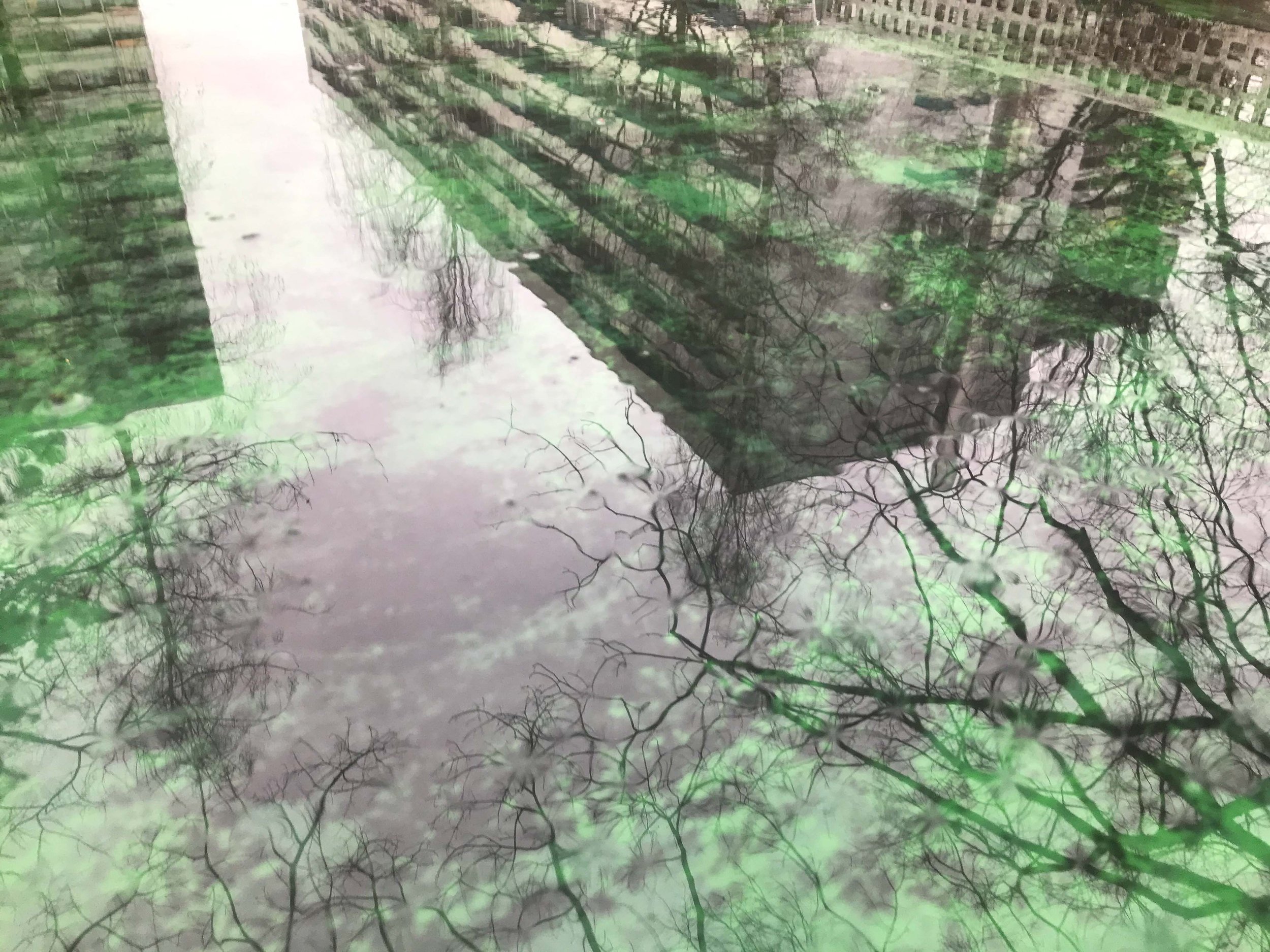 Brigitte Marti - Menschen, Momente und mehr