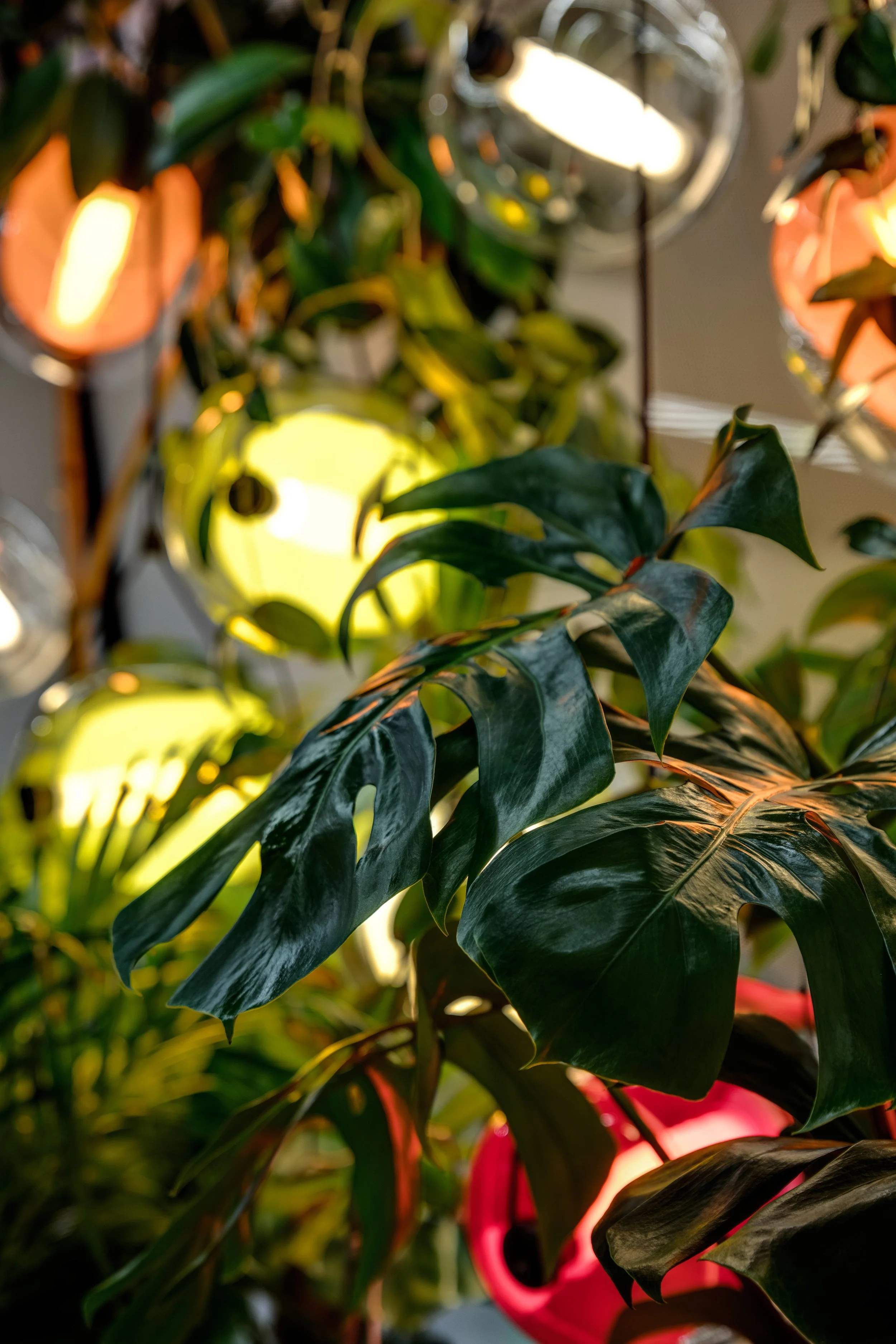 _25A1950_hdr_web.jpg