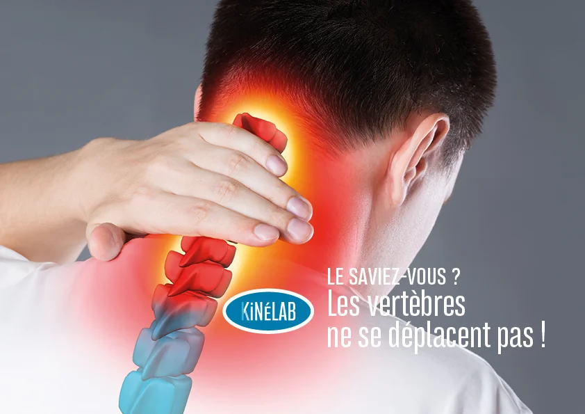 Le saviez-vous : les vertèbres ne se déplacent pas !