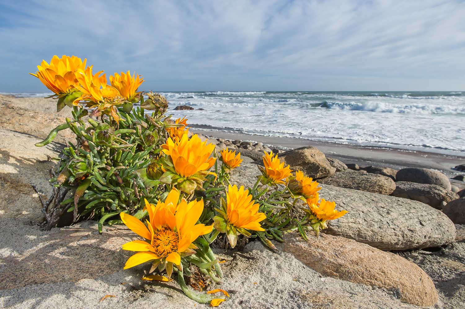 Namaqua National Park