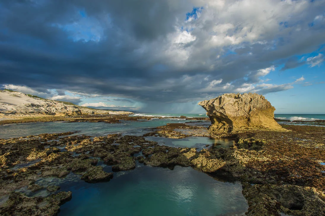 001_MPA Overview_©PeterChadwick_AfricanConservationPhotographer.jpg