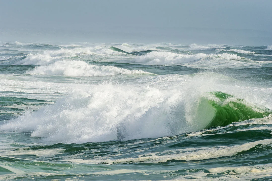 West Coast National Park — Marine Protected Areas South Africa