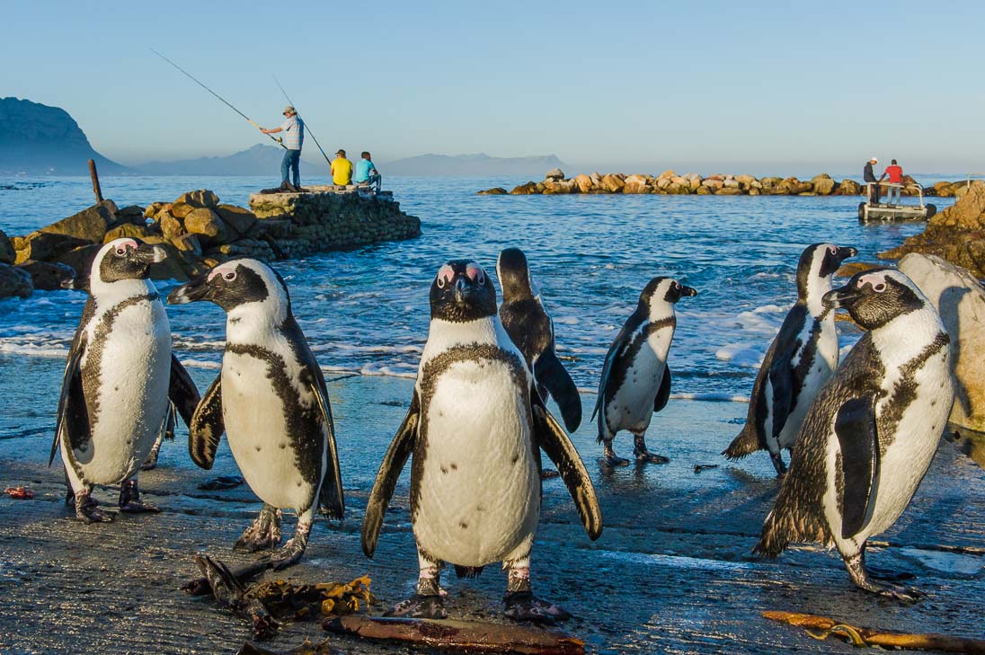 Betty's Bay