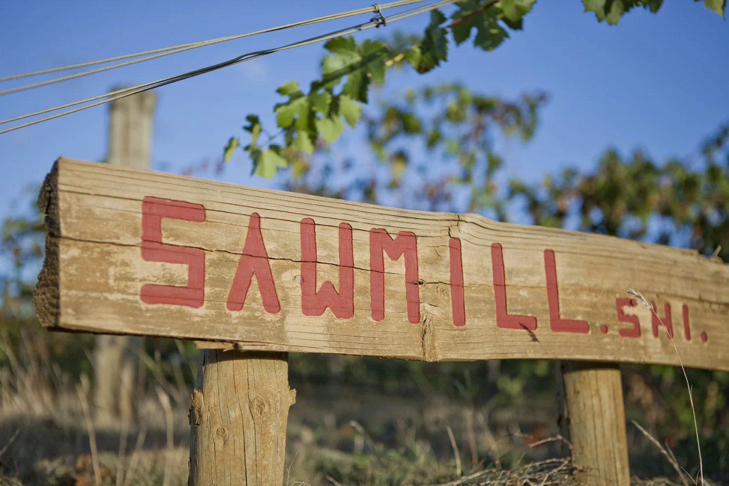Homepage_2_Sawmill_vineyard.jpg