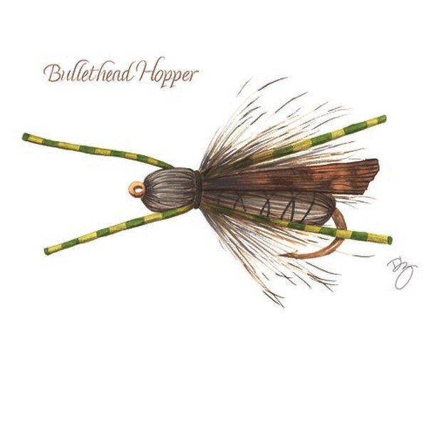 Things are kinda buggy around here! I'm almost finished creating and producing a Fly Fishing desk calendar for 2024. These little guys seem to have a personality of their own--some are shy and seemingly delicate, others are bold and want to be in the