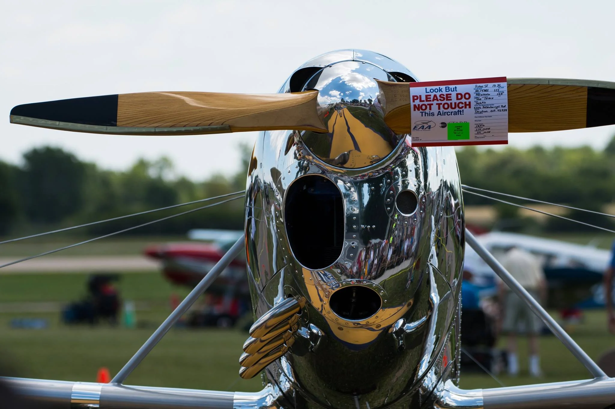 sn 117 nose view.jpg