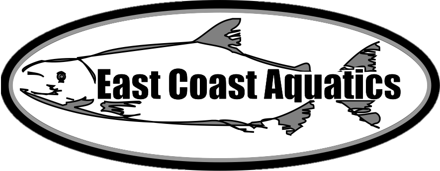 East Coast Aquatics_.png