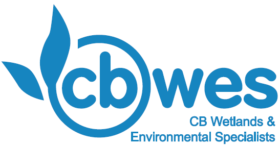 CBWES logo - crop.png