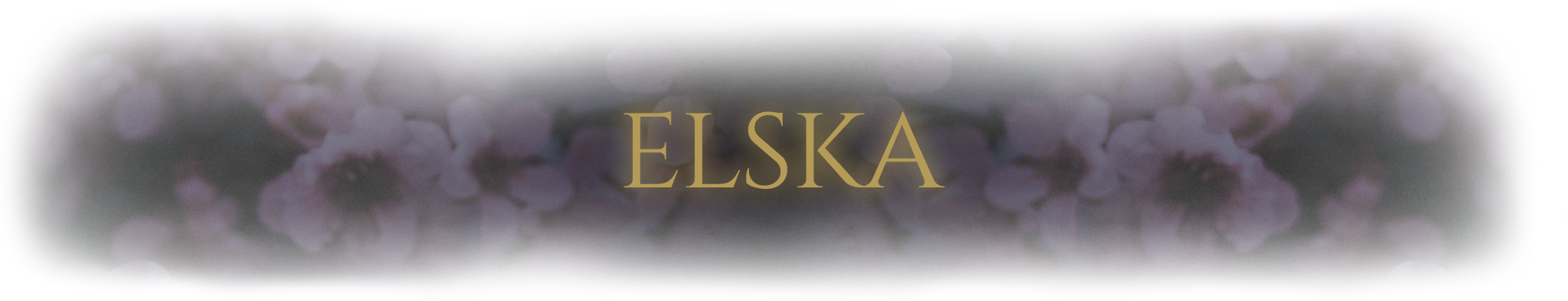 FRIDA. Elska Banner.png