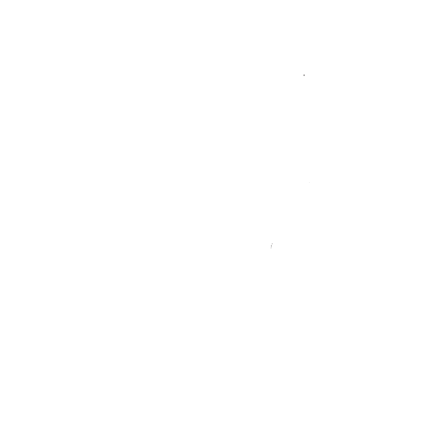 Palm Trees Ltd