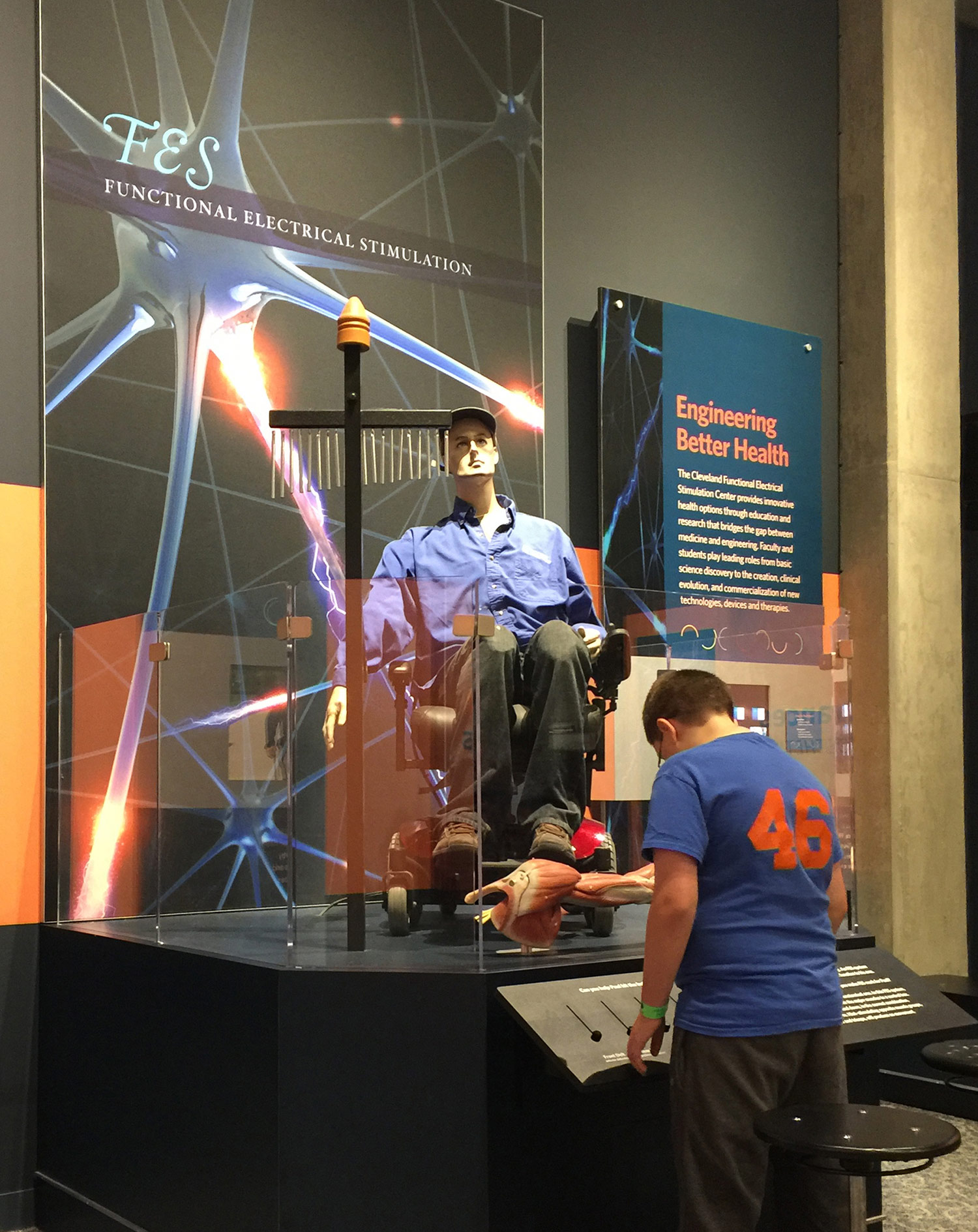 Functional Electrical Stimulation Robot Exhibit