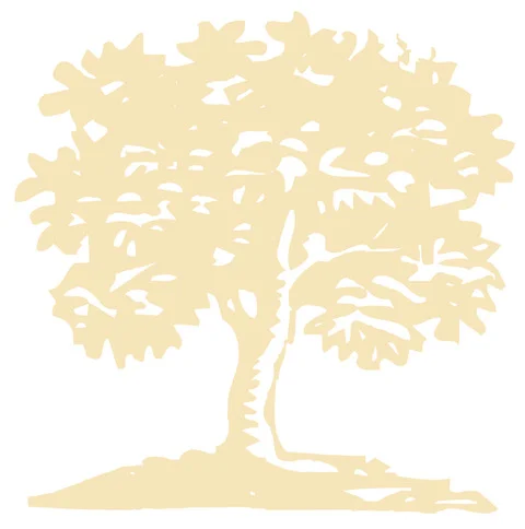 tree.jpeg