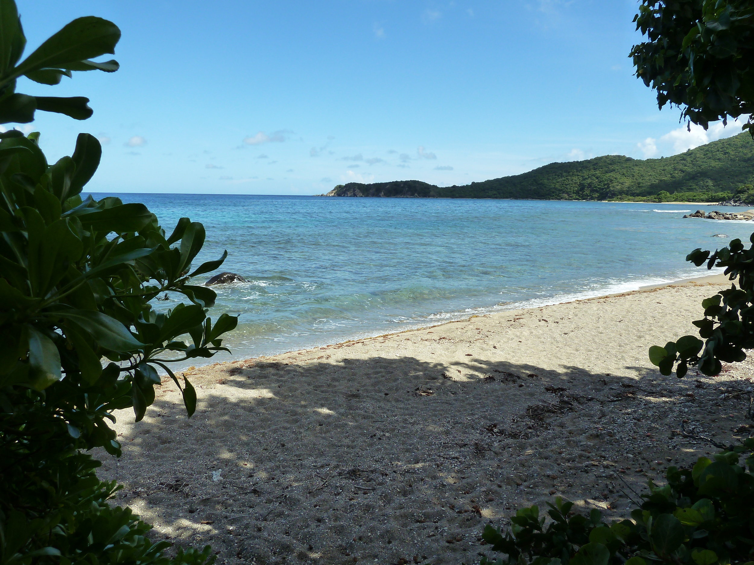 Nail Bay Beach is normally secluded