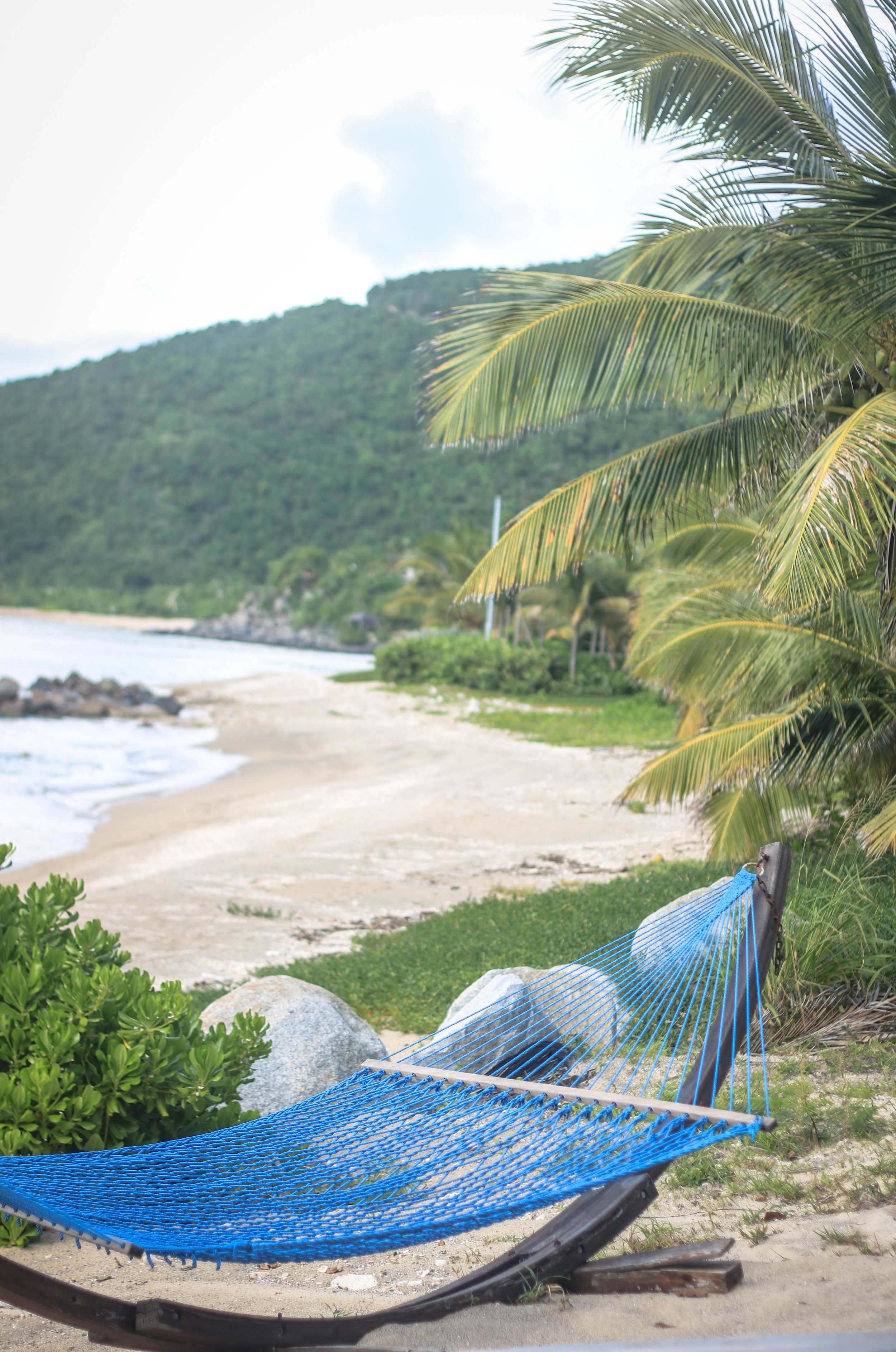 Beachfront Hammock