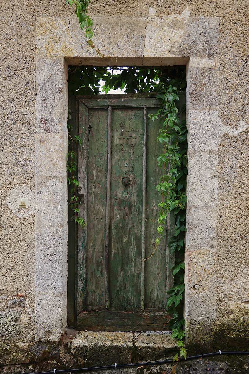 C31A5950.jpg