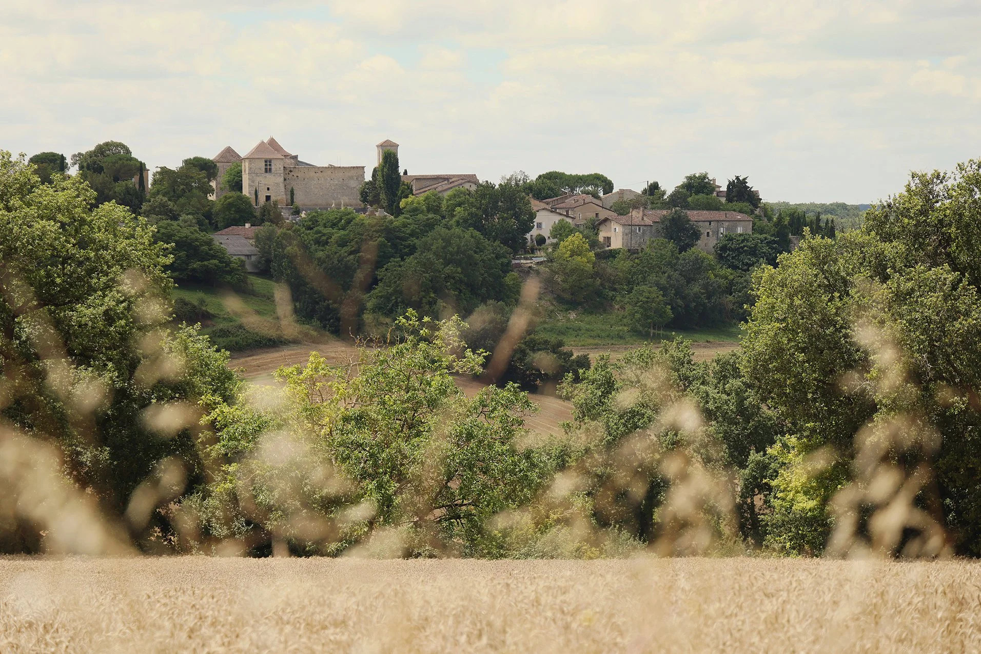 CastelNau View Wide sml.jpg