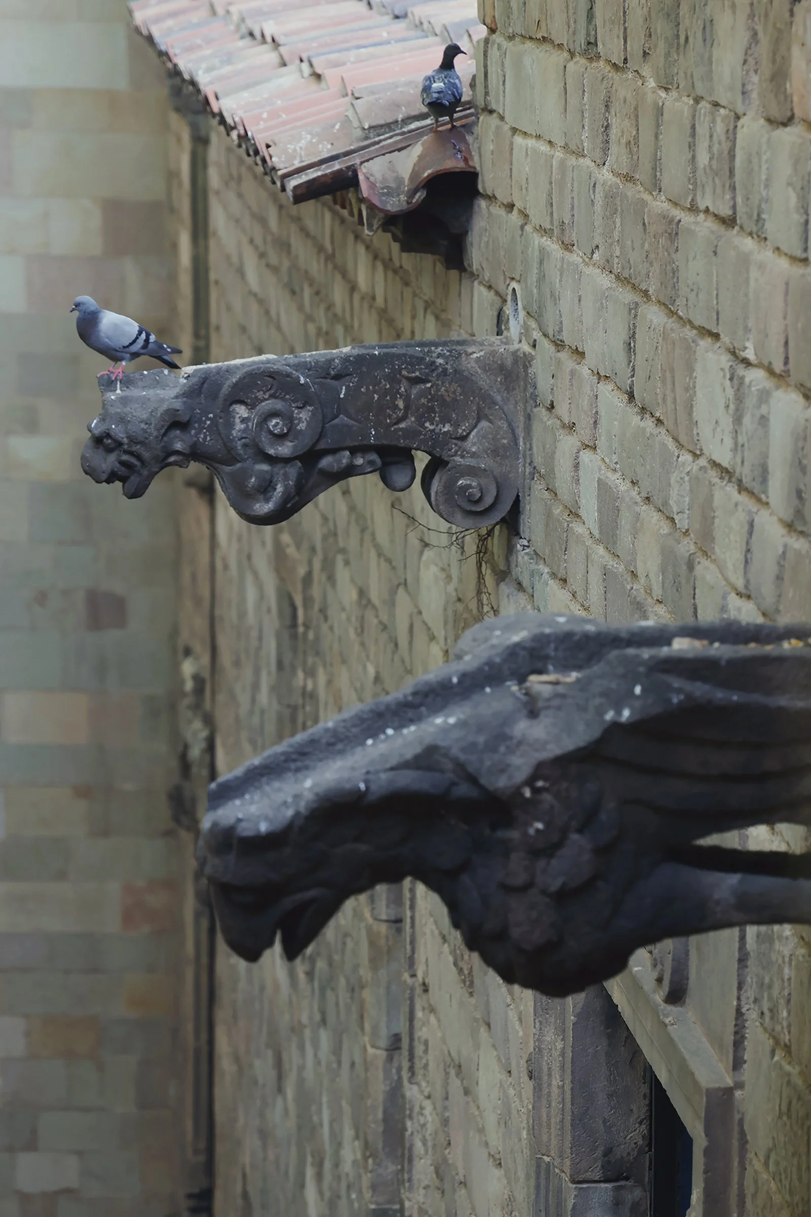 VR2021 Summer-355.jpg