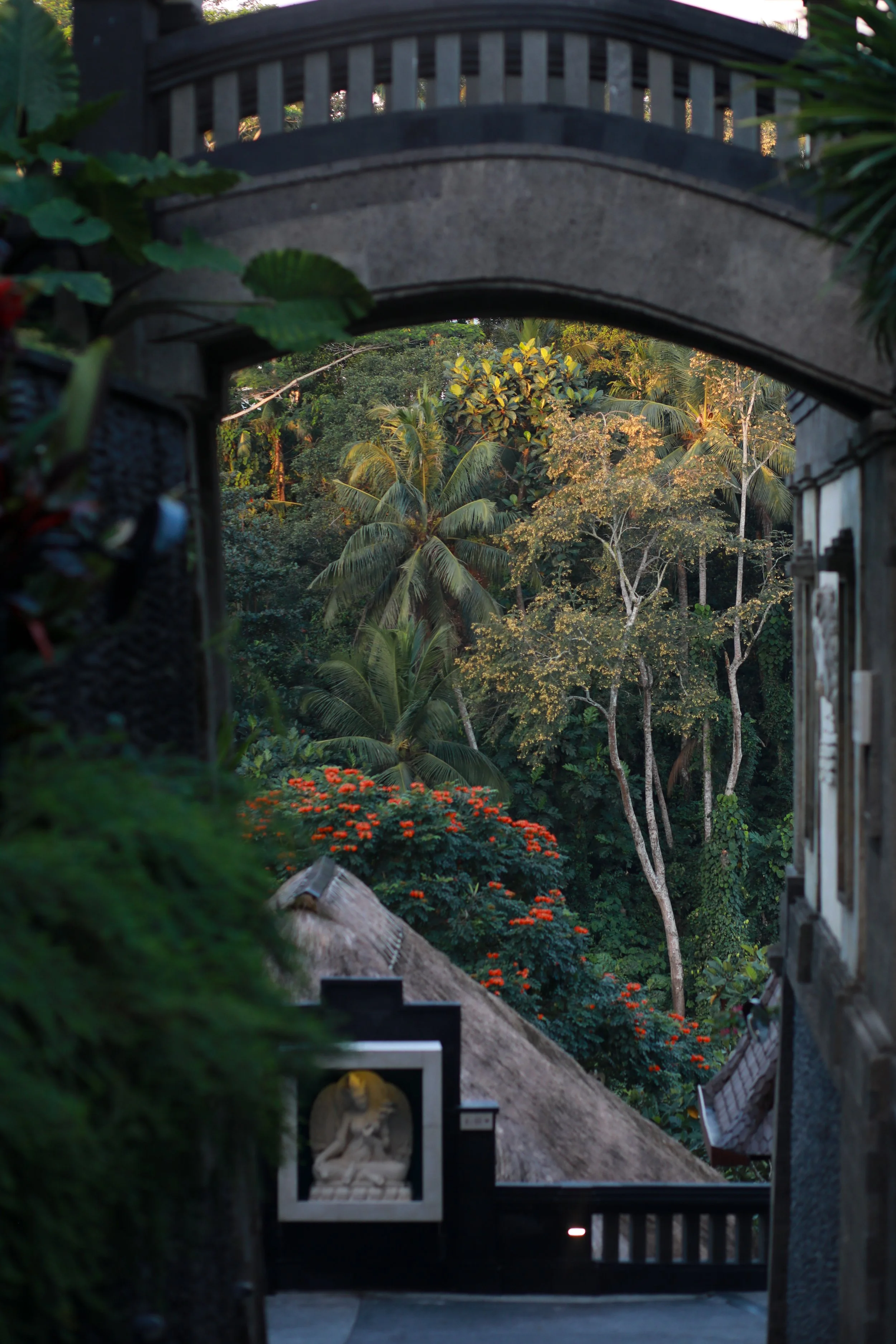 Viceroy Bali_Lane Oliveri_2023-72.jpg