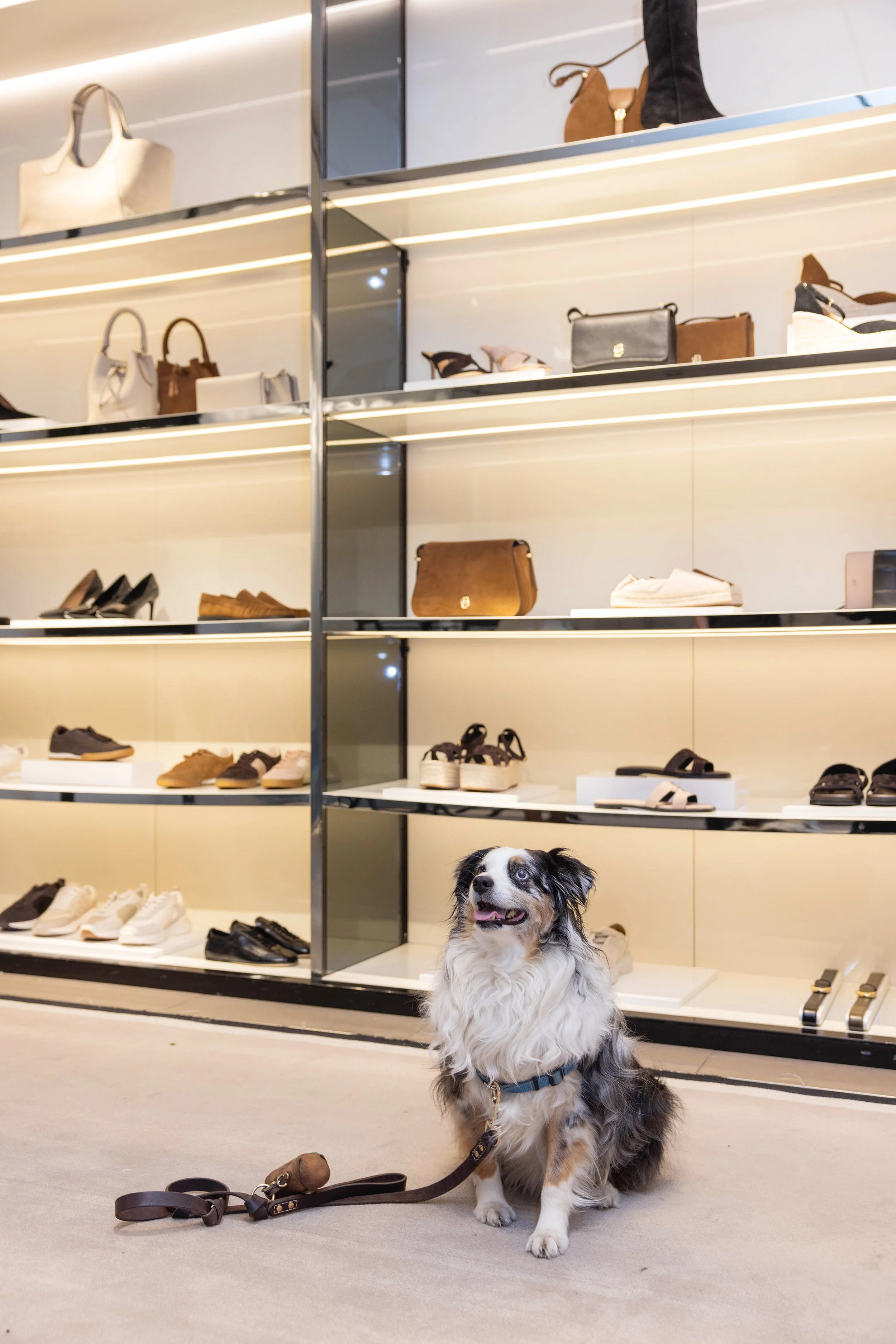 BOSS x Meghann Fahy Event-123.jpg