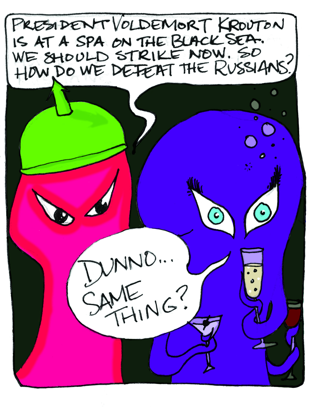 27b.jpg