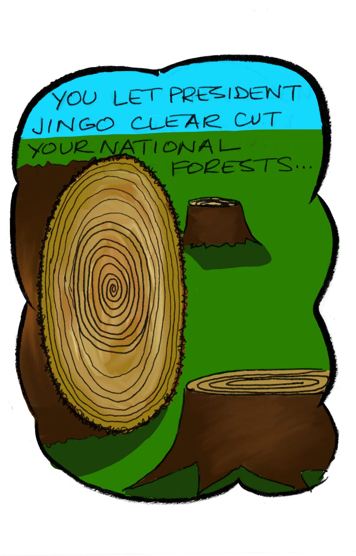 2.23colorc.jpg
