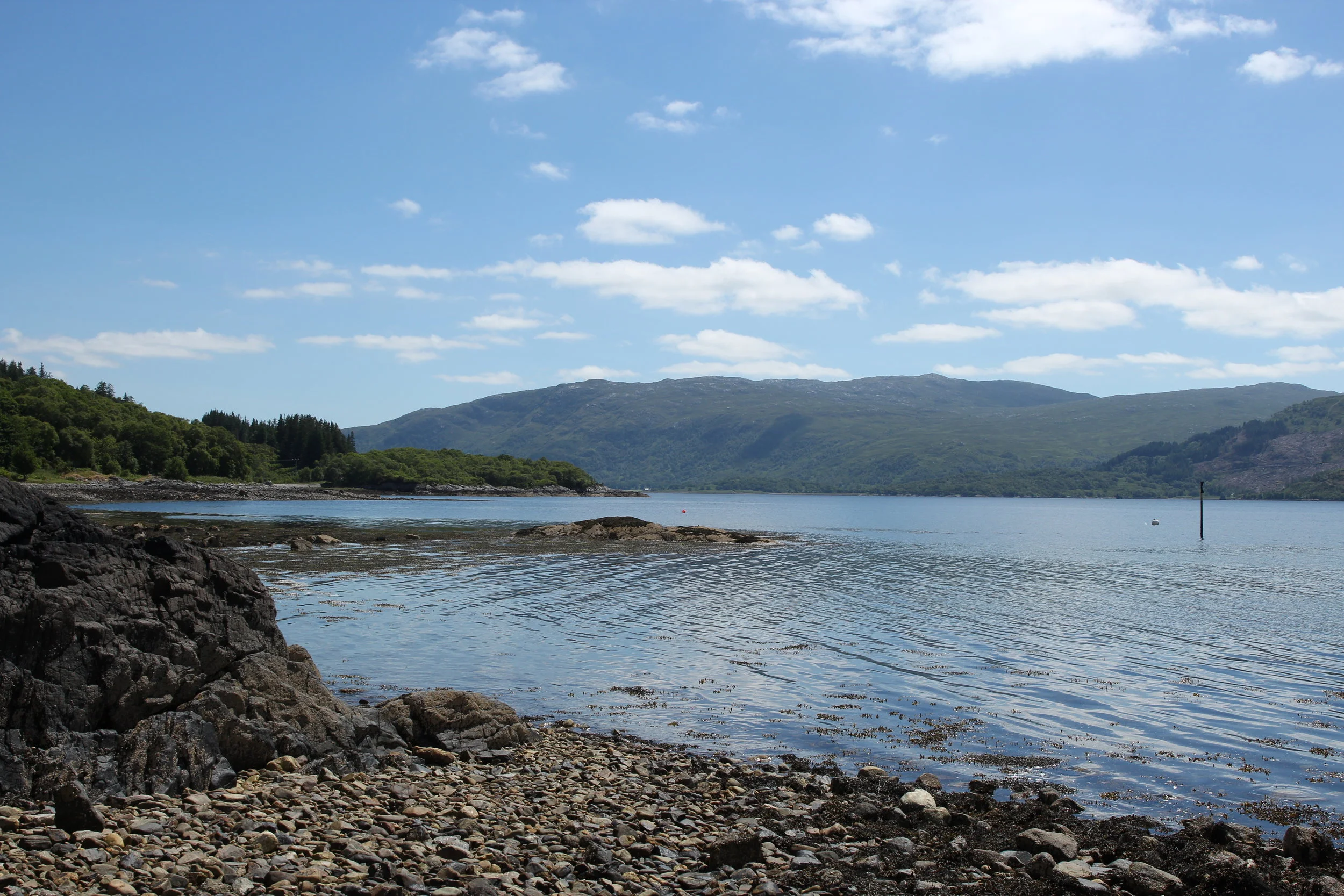 The  Story So Far...