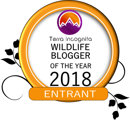Wildlife Blogger of The Year....