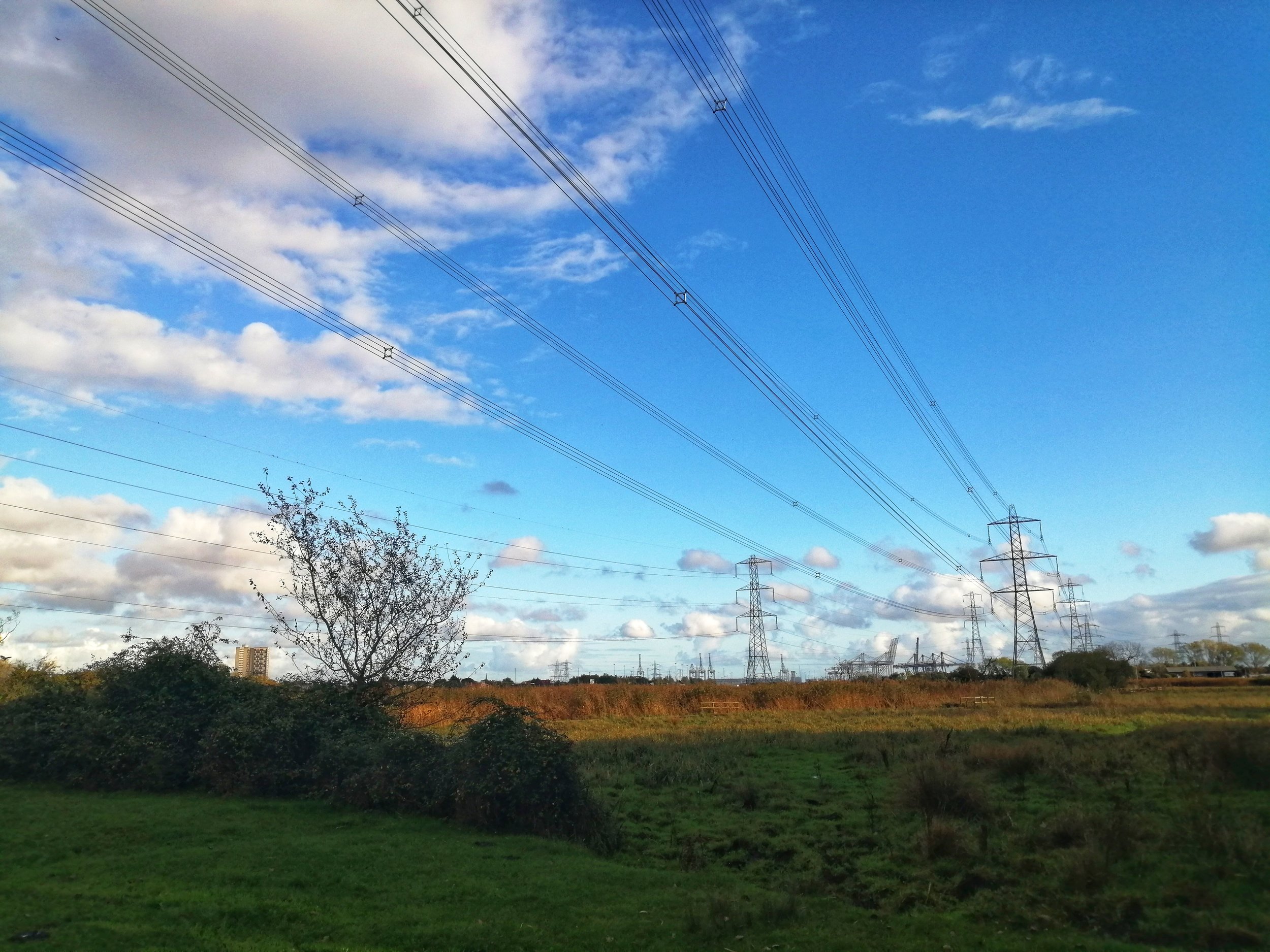 The Lower Test in Totton