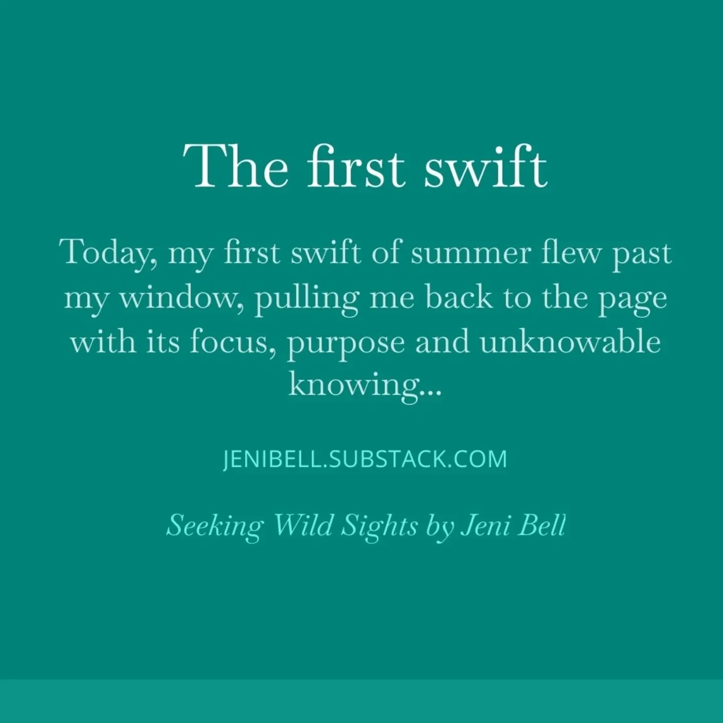 Some words on swifts and writing.

Link in all the usual places if you like.