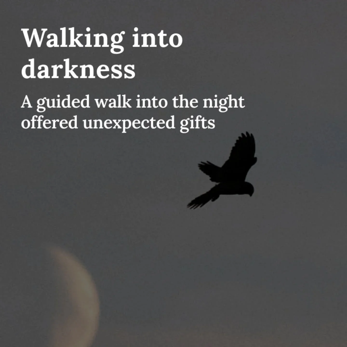 A couple of weeks ago now I attended an event run by Becky Burchell and Folde. A chance to walk into the dark of the Dorset night. 

This is not the first time I've followed Becky into the dark, and although each time I have experienced different thi