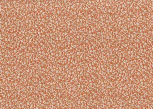 Confetti Mango