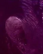Dark electronica Synth music Close-up of a purple and pink abstract or artistic surface with textured patterns.