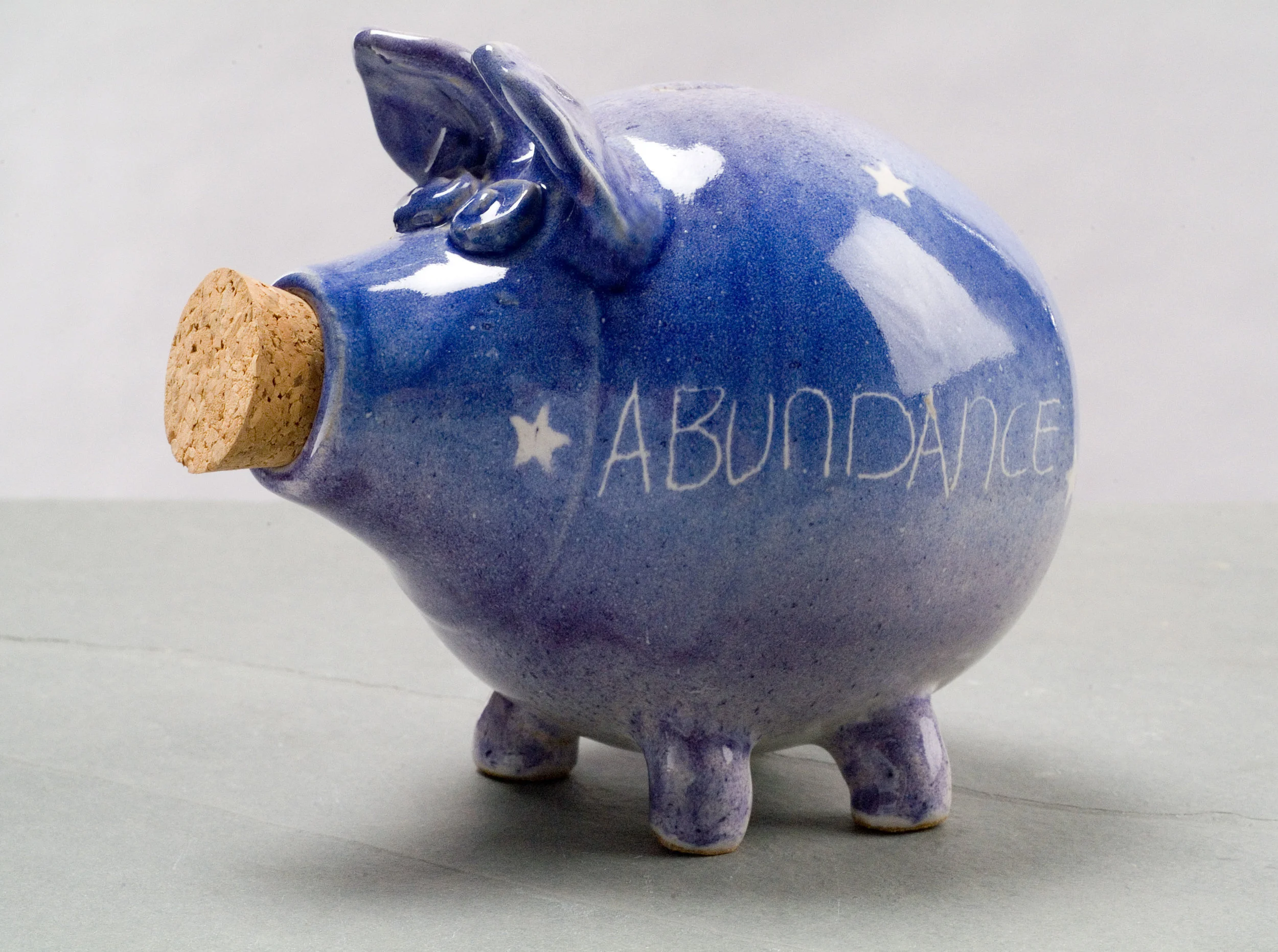 Piggy Bank.jpg