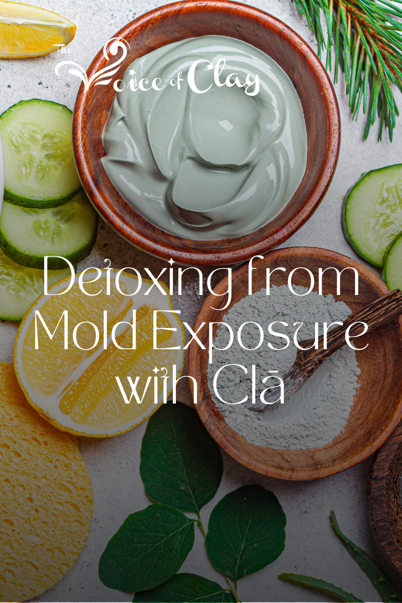 Using Calcium Bentonite Clā for Mold Exposure