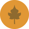 fall.png