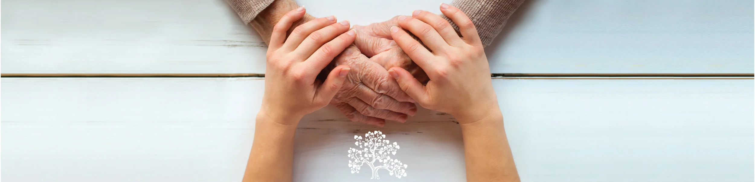 Beloved Tree Website Header_hands white-01.jpg