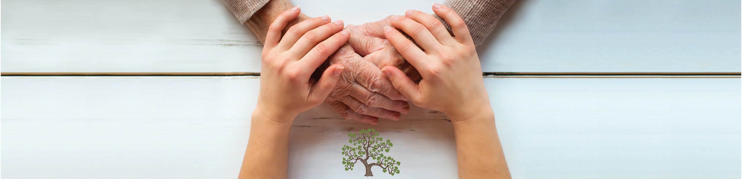 Beloved Tree Website Header_hands-01.jpeg