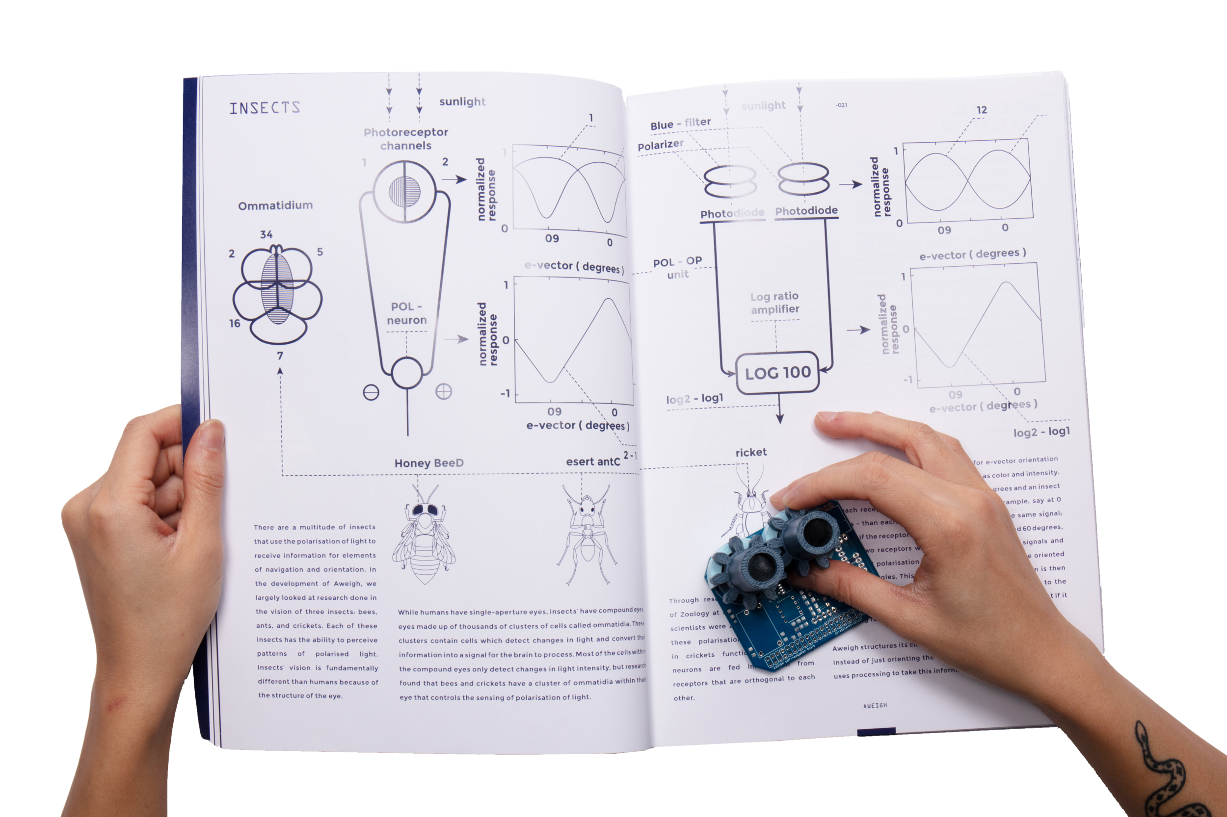 book_pcb_insect_nav_page.png