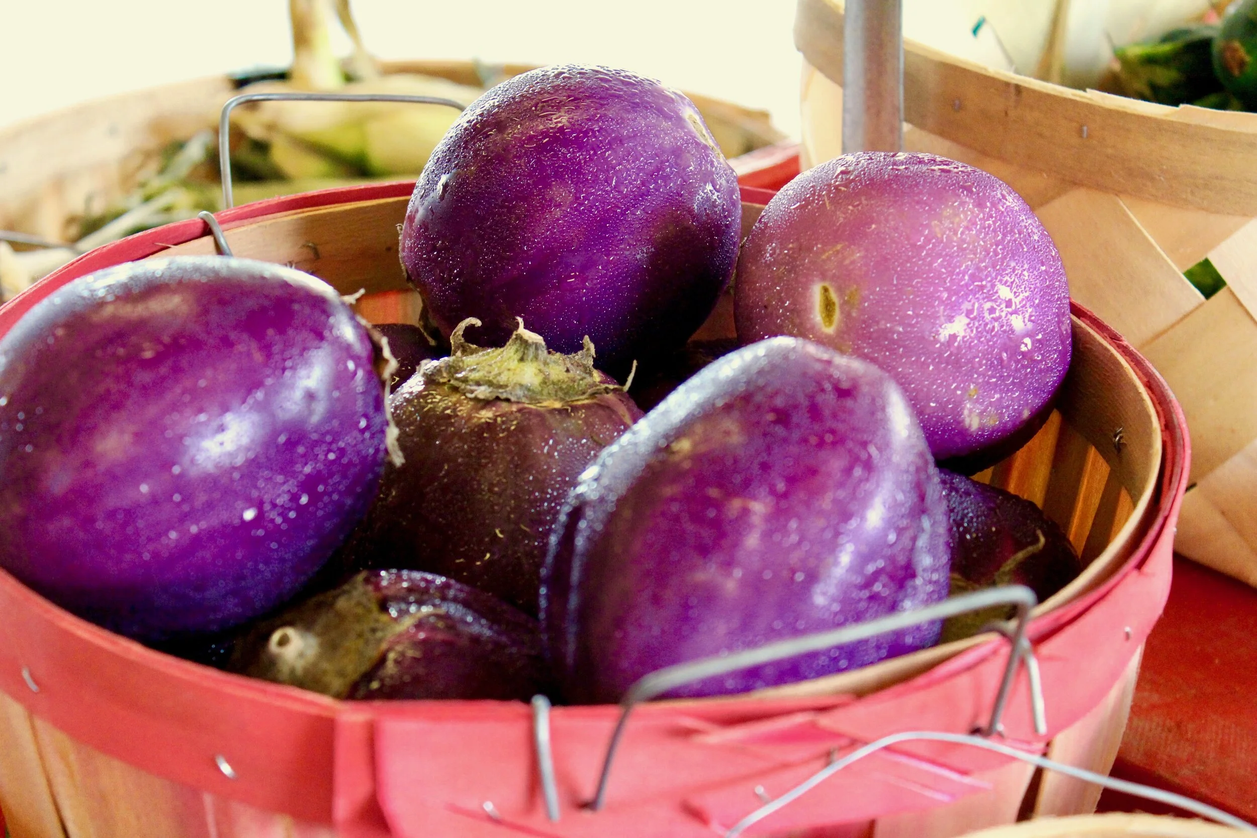 Gallery — — Green Valley Nursery