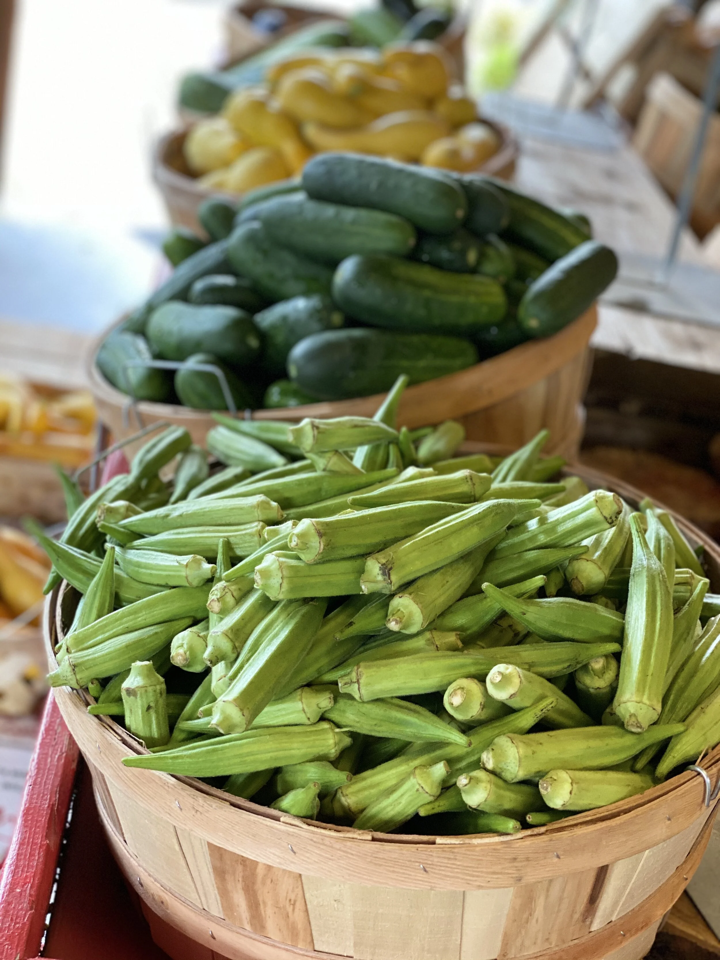 Gallery — — Green Valley Nursery