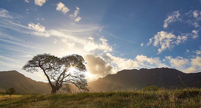 Mākua Valley is calling you and welcoming you home to the next cultural access.

Access will begin at 9 a.m. on Monday, March 20. Hele mai to connect with an ancient heiau that has been off-limits to the community for two years!

The community has be