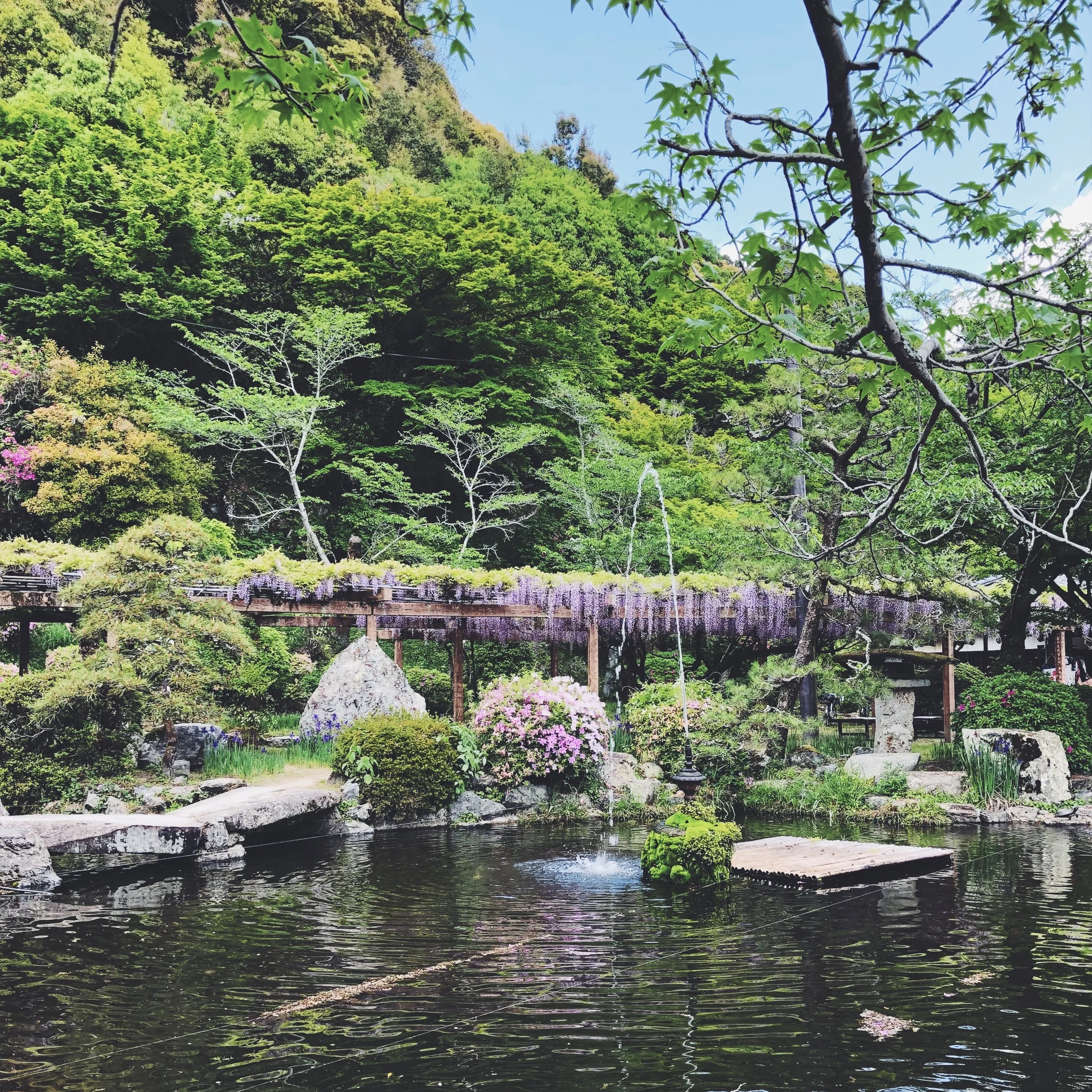 wisteriatrellisandpond_kintaibridge.jpg