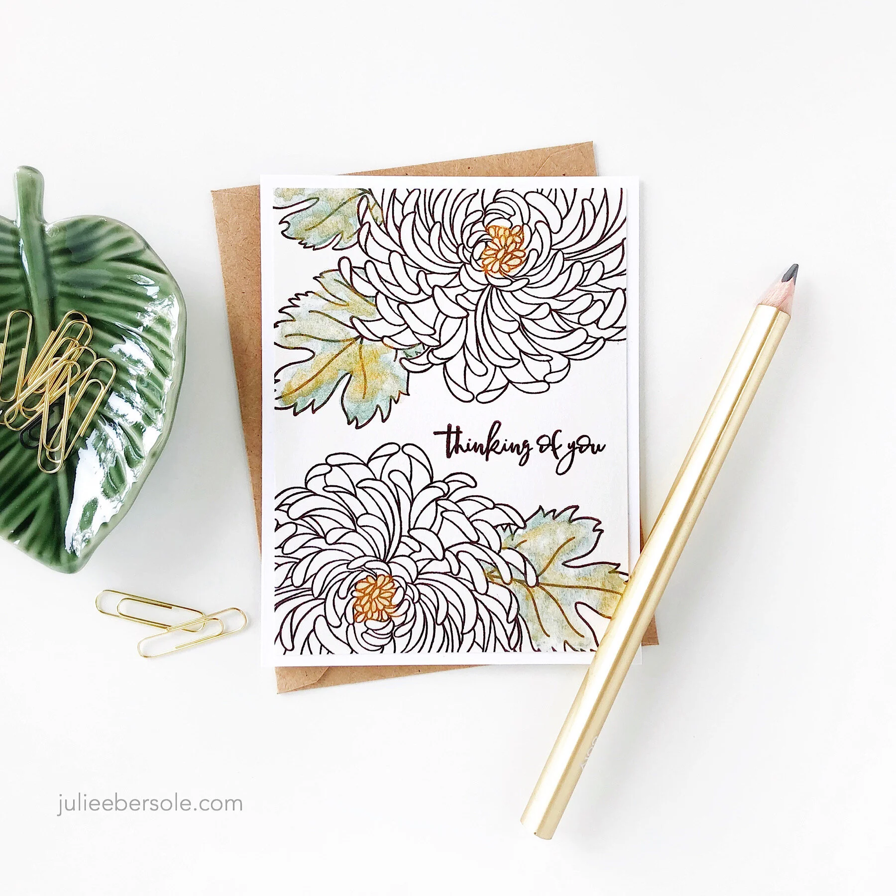 mondo-chrysanthemum-natural-001-1.jpg