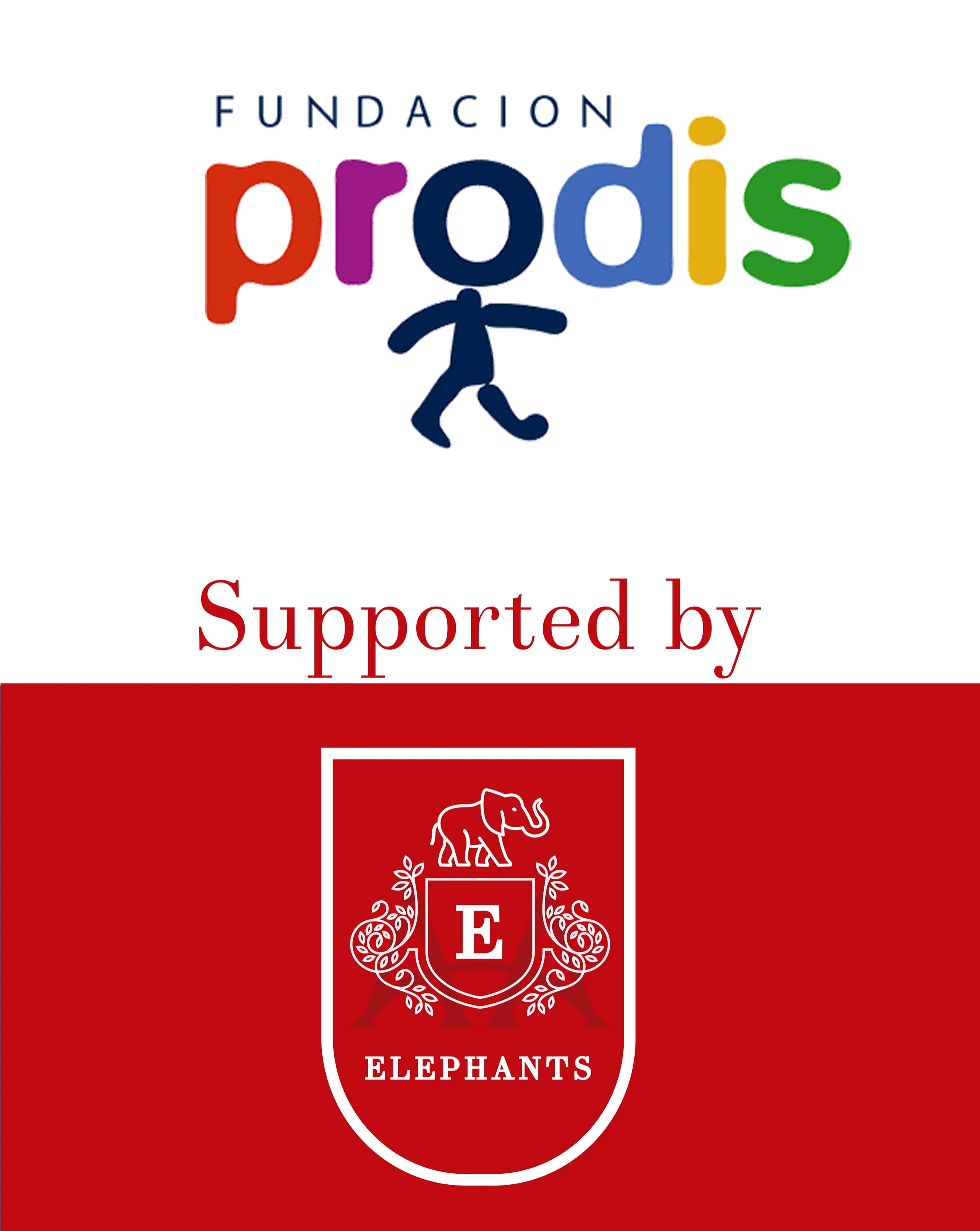 Fundacion prodis.jpg