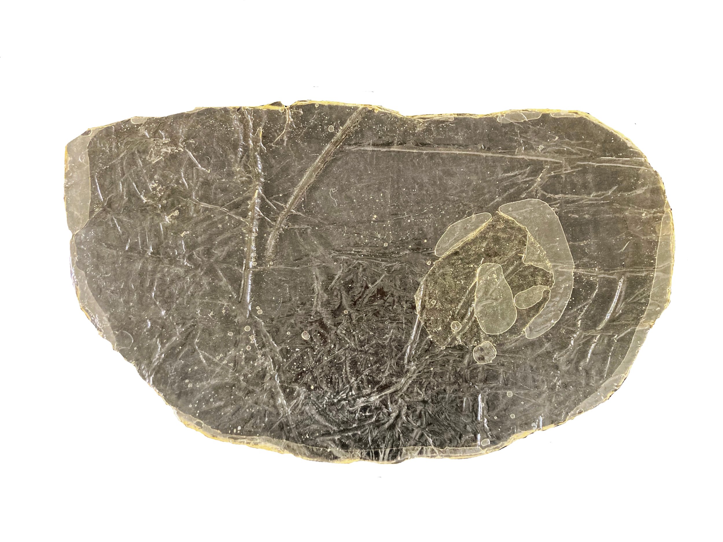 Frunciendo la transparencia