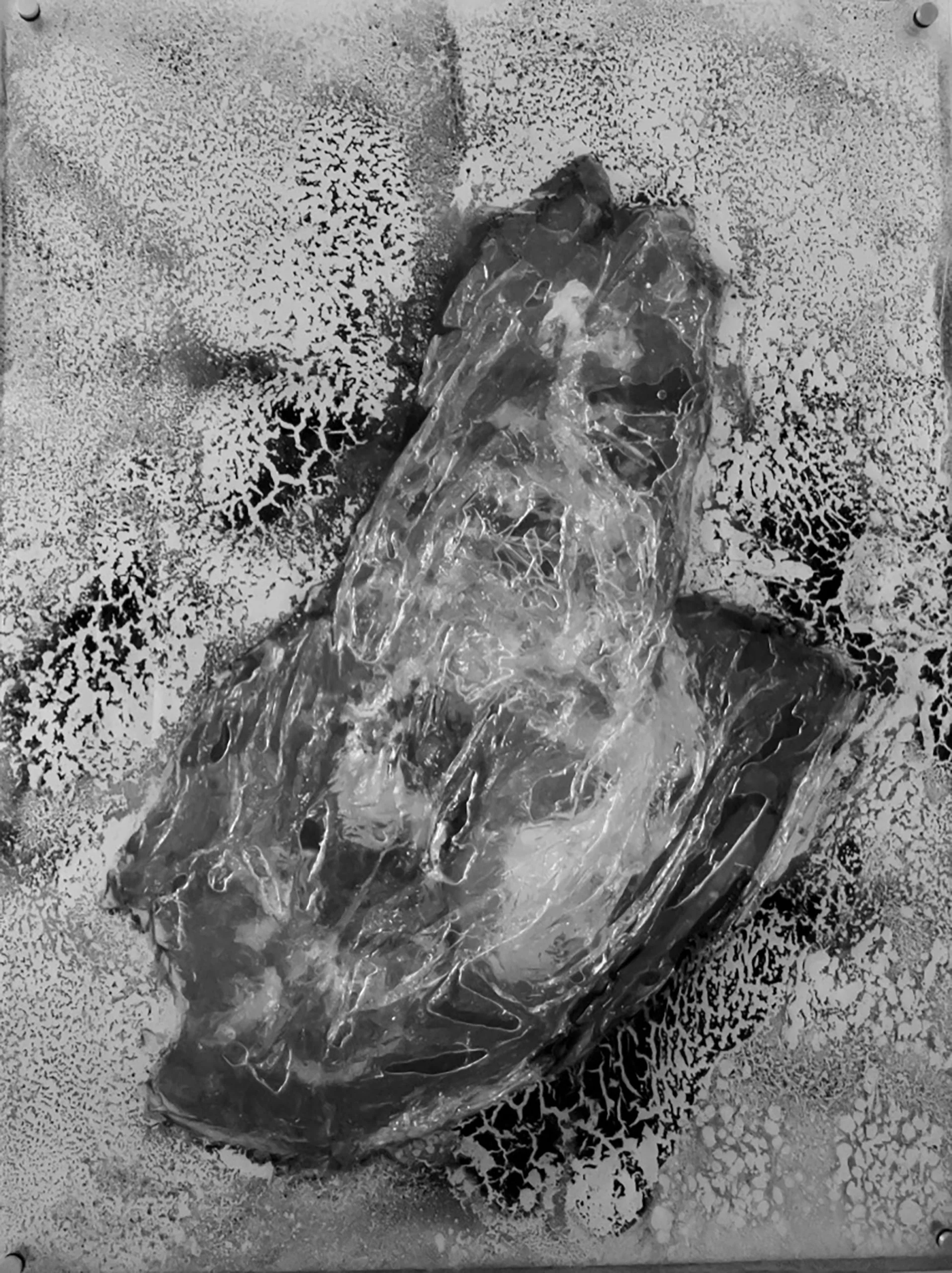 5_Capas.resina-cristaloleo-stela-y-2-láminas-de-acrílico.94x120cm-scaled.jpg