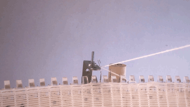gif-four.gif