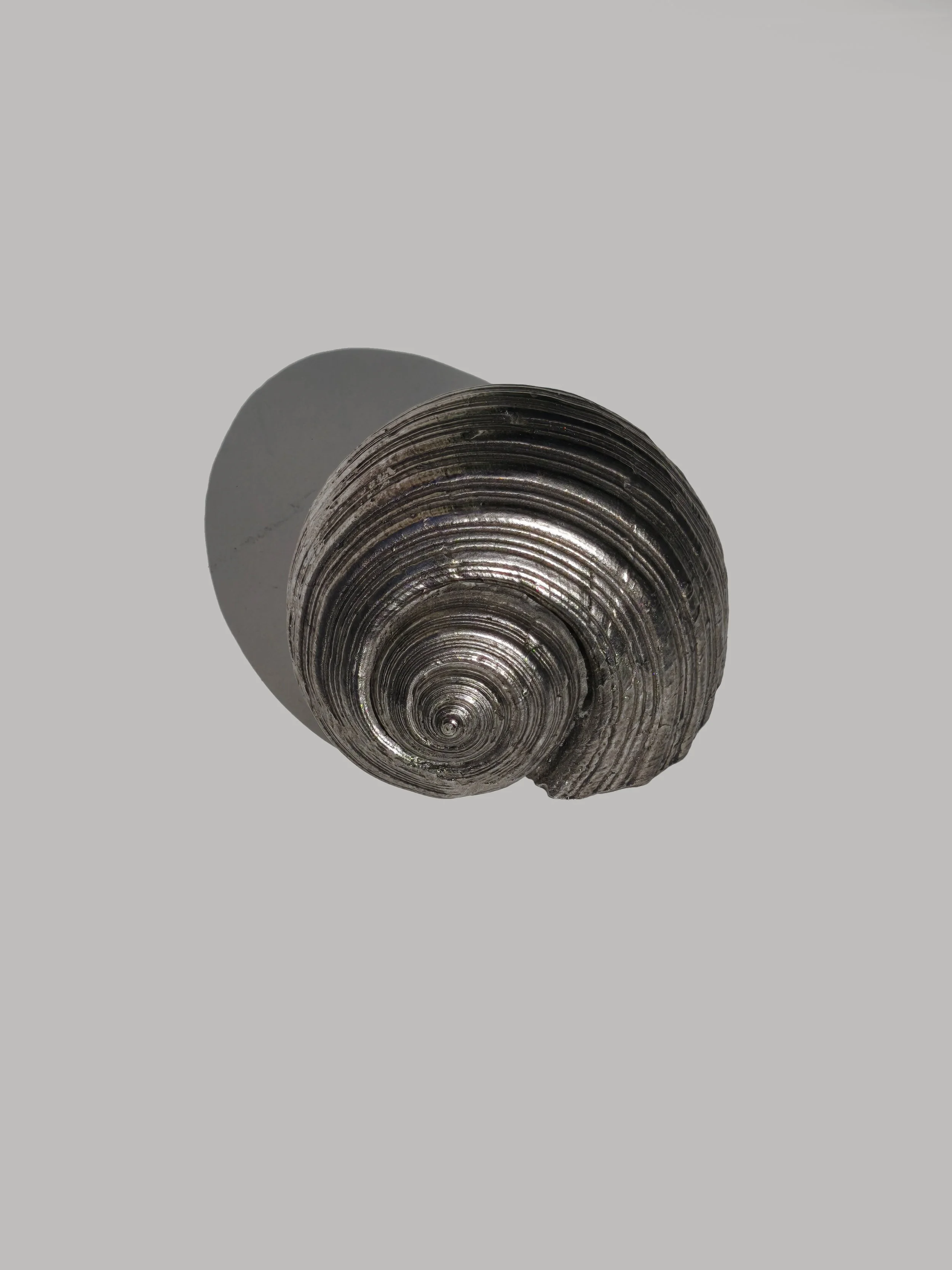 les-objoies-shell-sculpture-resin-5.jpg