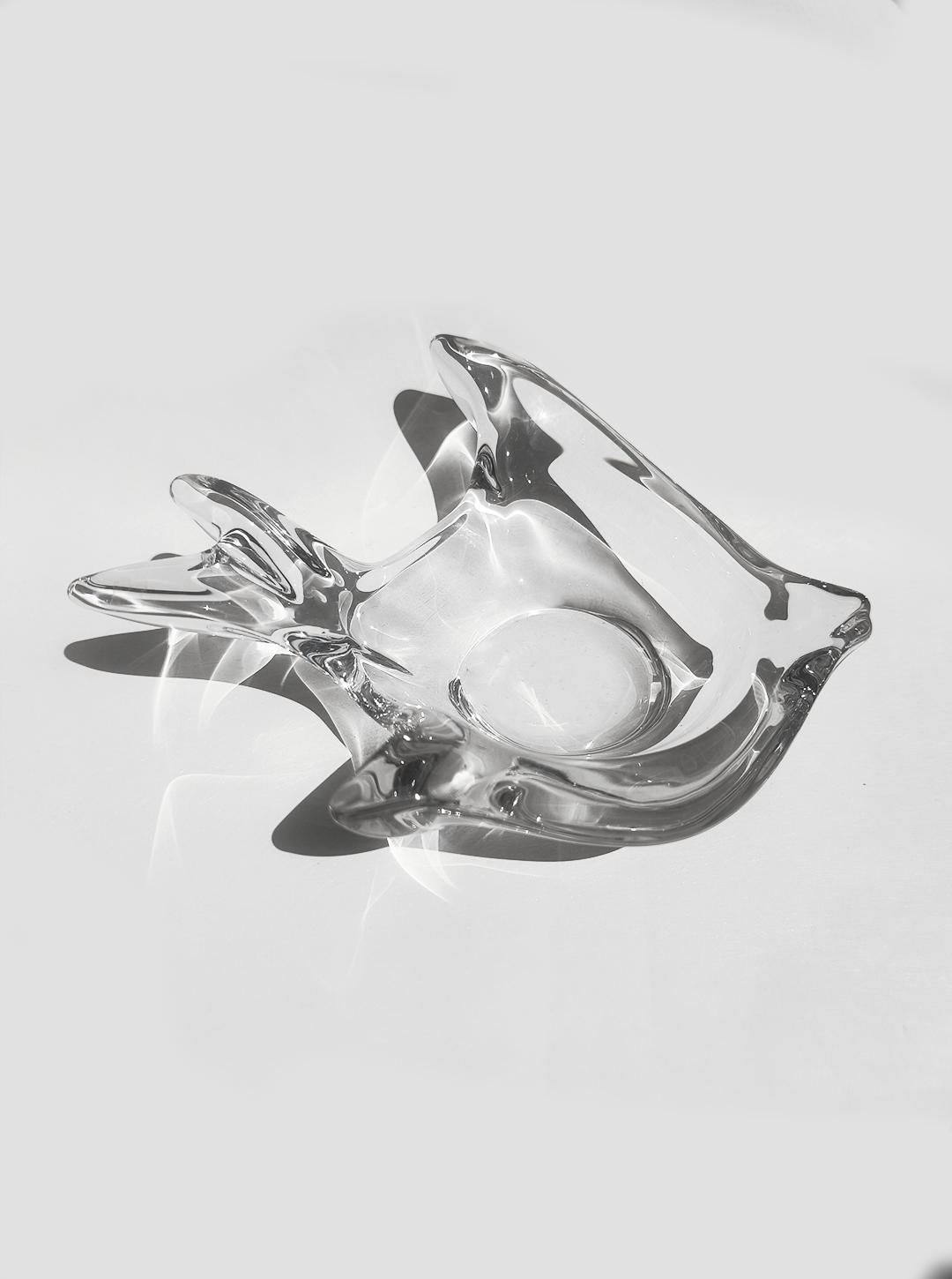 les-objoies-fish-glass-transparent-2.png