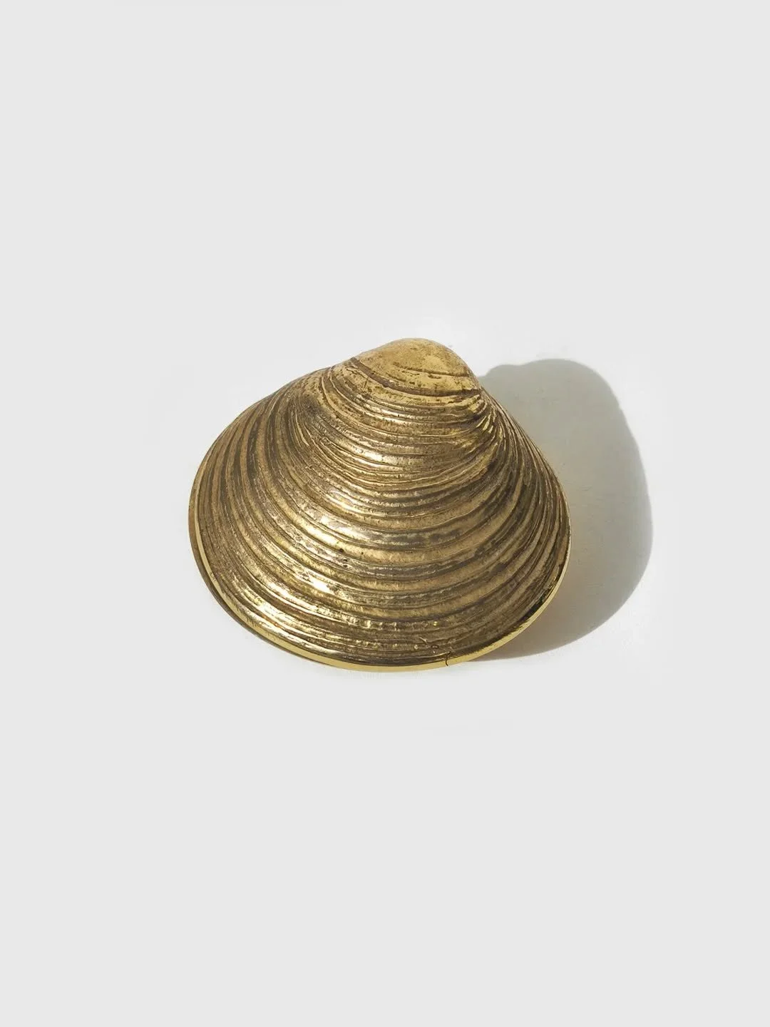 Clam Brass Box available in our Shell Edit ✨🐚

#vintageshell #brass #vintagebrass